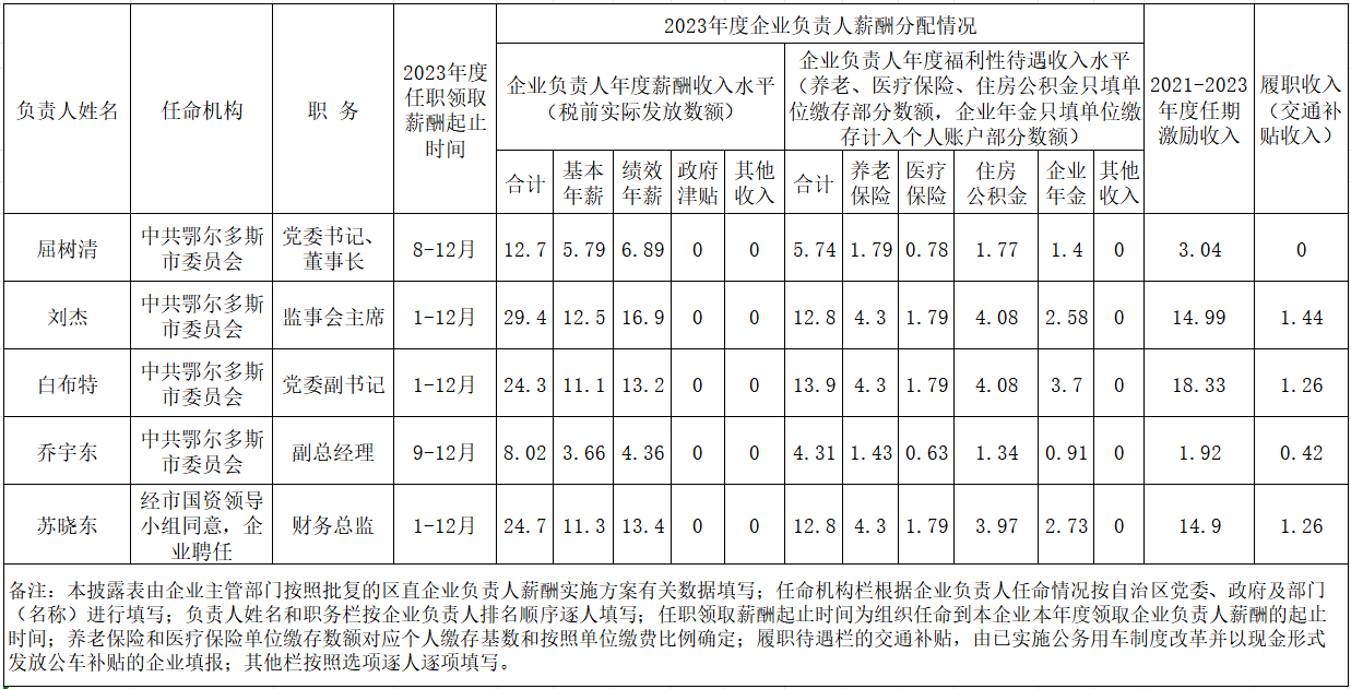 企业负责人.png